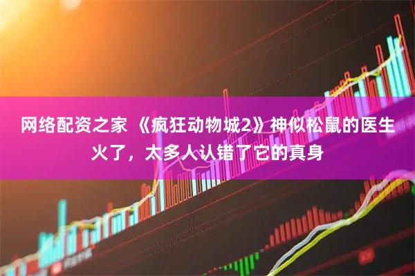 网络配资之家 《疯狂动物城2》神似松鼠的医生火了，太多人认错了它的真身